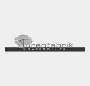 Türenfabrik Safenwil AG